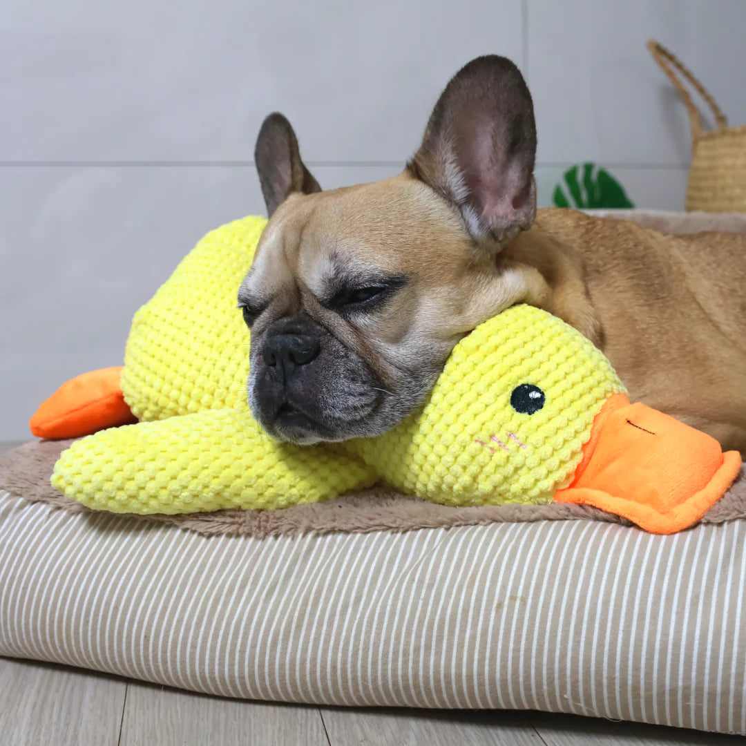 Pet Calming Duck Plush